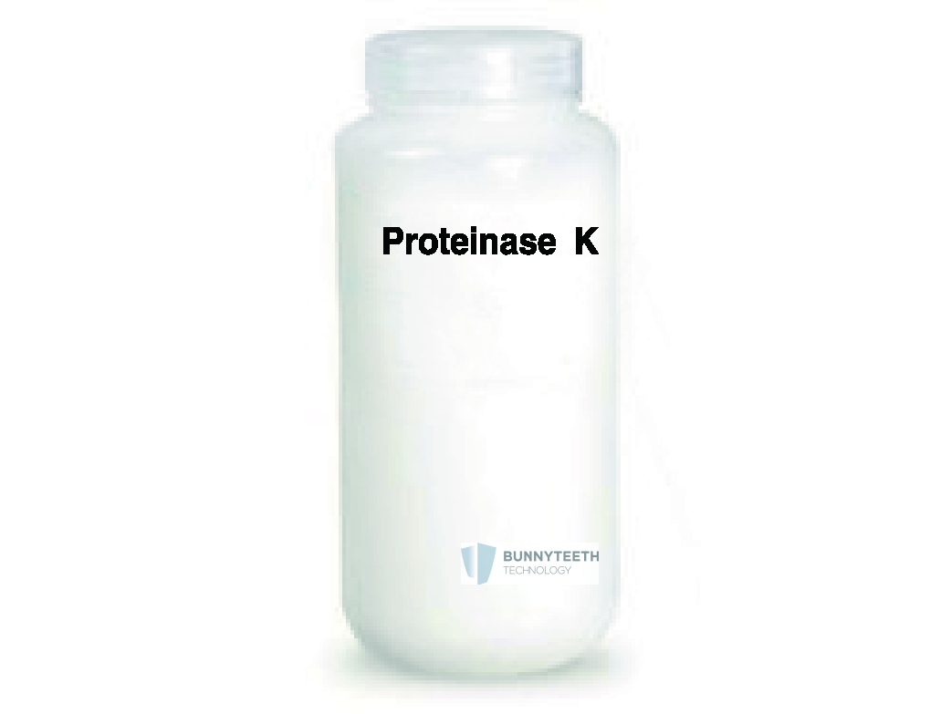 Proteinase K (Liquid)